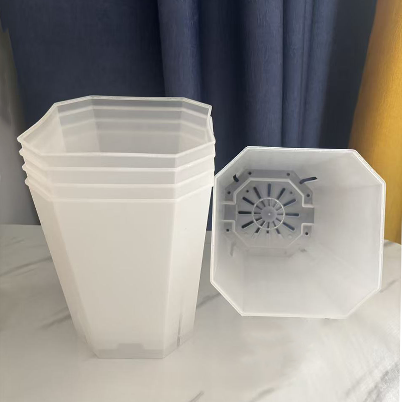 5PCS Transparent Flowerpot 15c - Echeveria Succulent ulasan dan harga