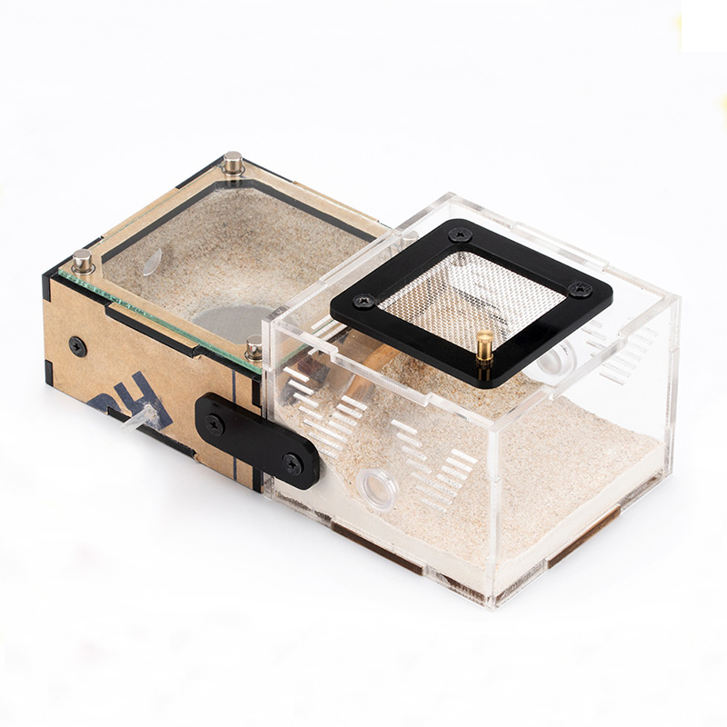Unlimited Expansion Ant Farm H - Begonia Rex ulasan dan harga