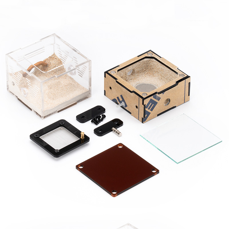 Unlimited Expansion Ant Farm H - Begonia Rex ulasan dan harga